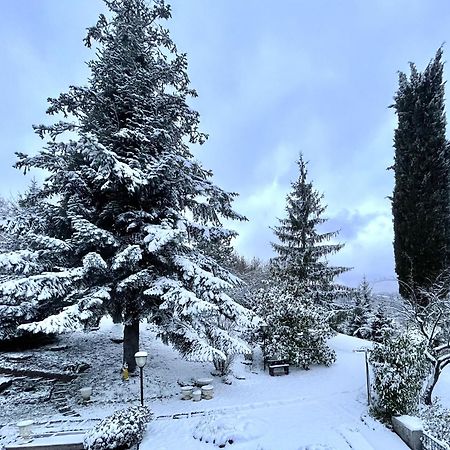 Mazzetti Country House-Vita In Campagna Con Giardino Vimignano-Chiesa Exteriör bild