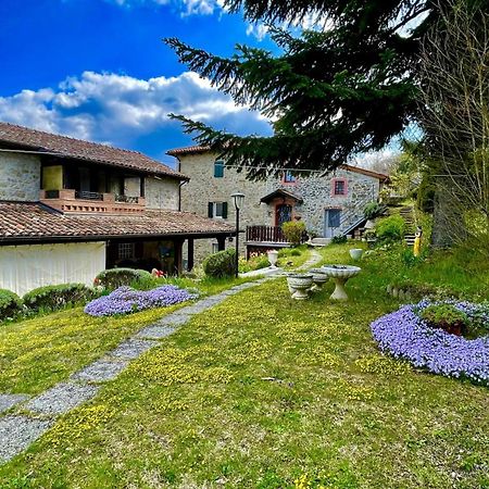 Mazzetti Country House-Vita In Campagna Con Giardino Vimignano-Chiesa Exteriör bild
