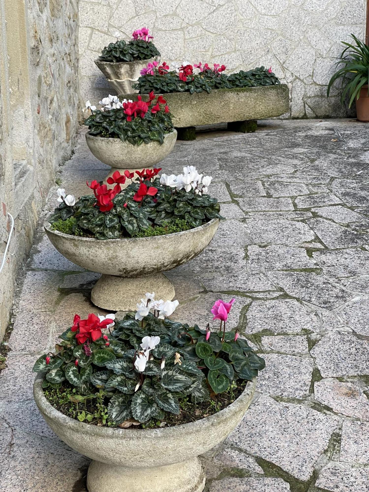Mazzetti Country House-Vita In Campagna Con Giardino Vimignano-Chiesa Exteriör bild
