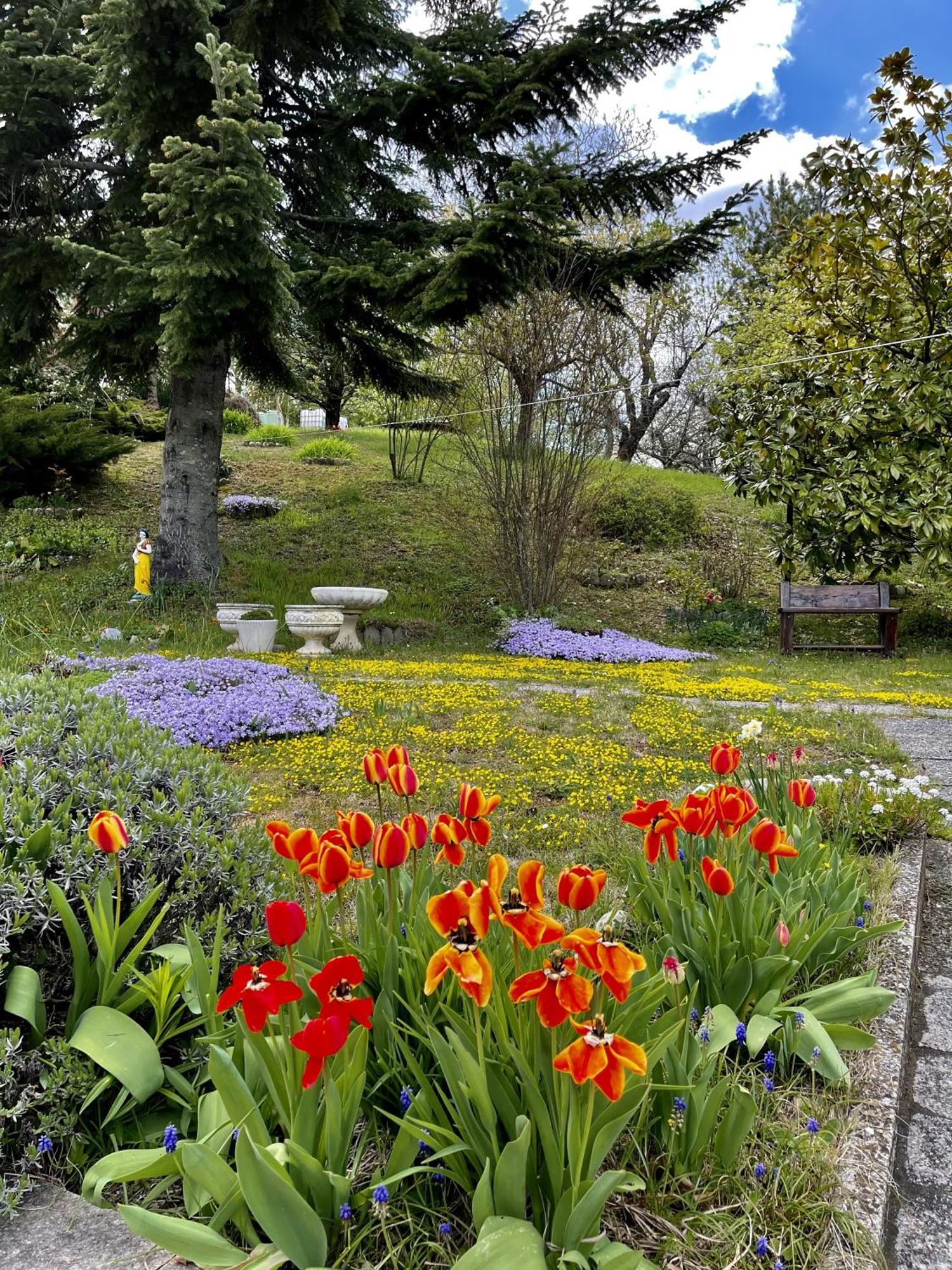 Mazzetti Country House-Vita In Campagna Con Giardino Vimignano-Chiesa Exteriör bild