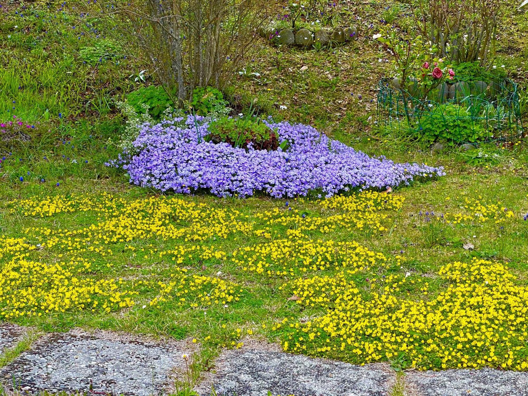 Mazzetti Country House-Vita In Campagna Con Giardino Vimignano-Chiesa Exteriör bild