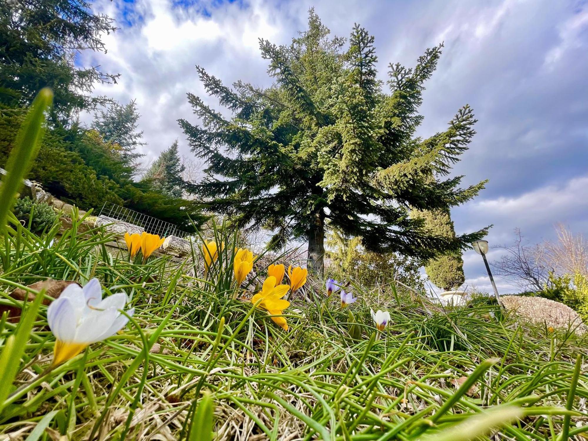 Mazzetti Country House-Vita In Campagna Con Giardino Vimignano-Chiesa Exteriör bild