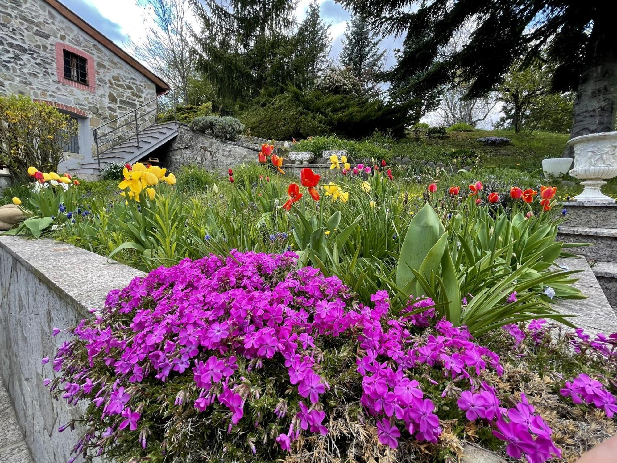 Mazzetti Country House-Vita In Campagna Con Giardino Vimignano-Chiesa Exteriör bild