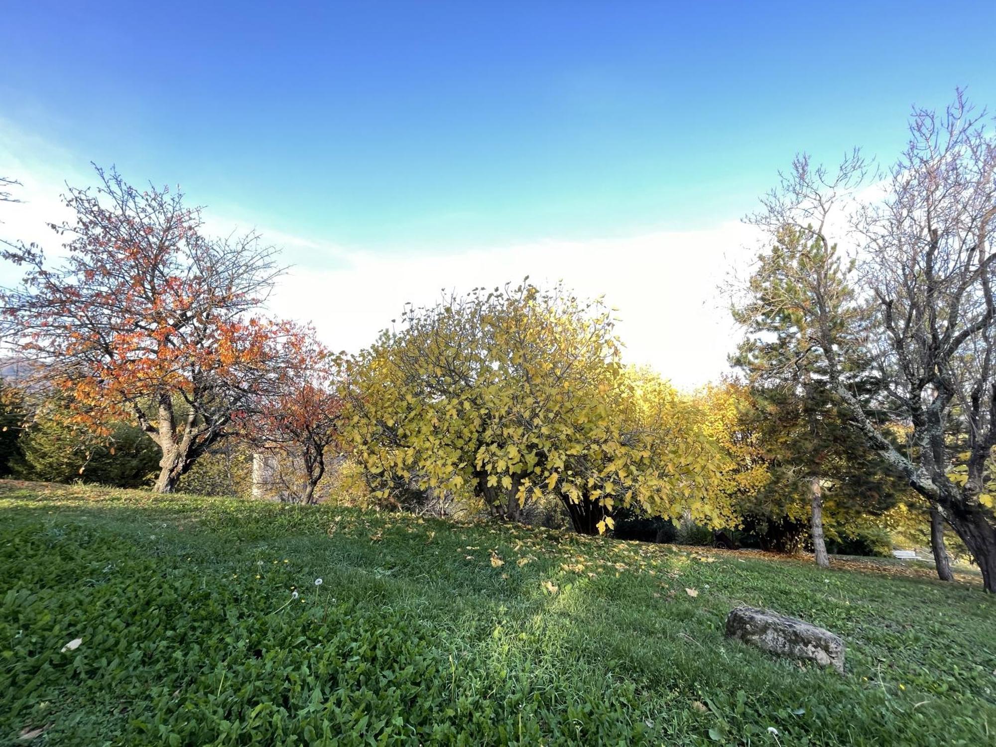 Mazzetti Country House-Vita In Campagna Con Giardino Vimignano-Chiesa Exteriör bild
