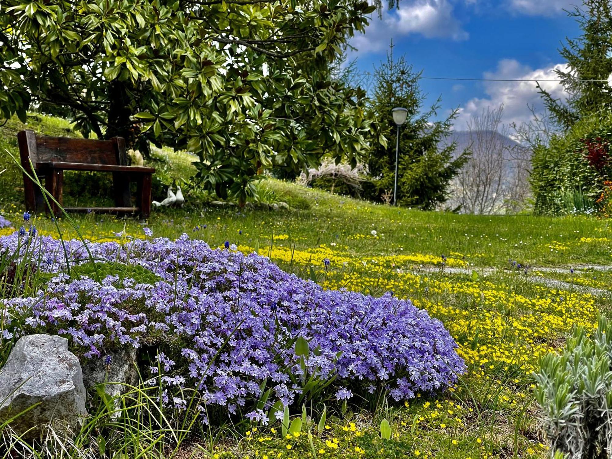 Mazzetti Country House-Vita In Campagna Con Giardino Vimignano-Chiesa Exteriör bild