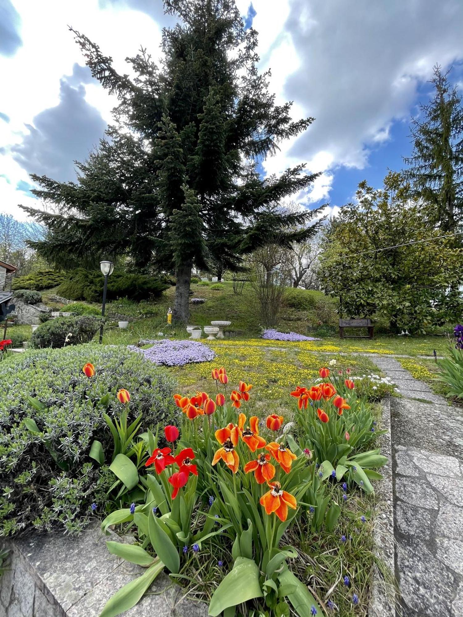 Mazzetti Country House-Vita In Campagna Con Giardino Vimignano-Chiesa Exteriör bild